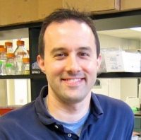 Kenneth Campellone