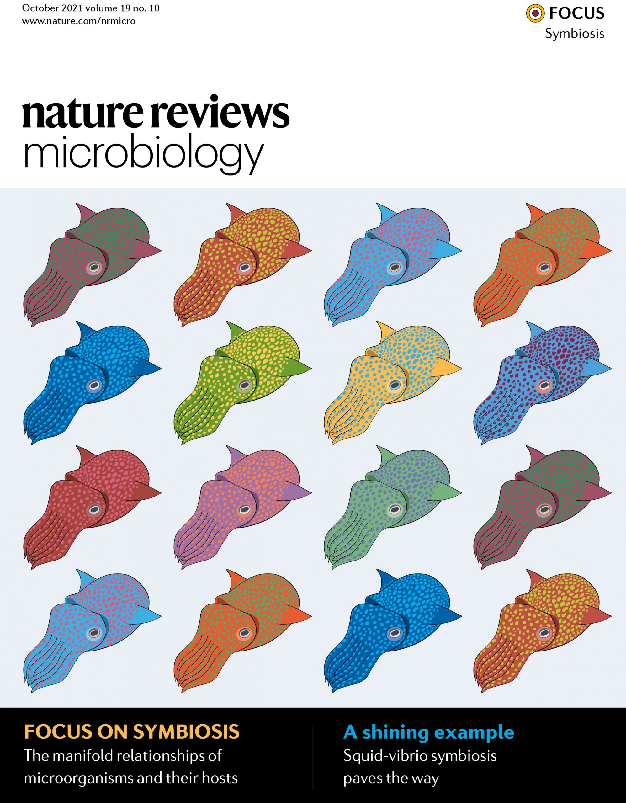 Nyholm Lab Article Featured on of Nature Reviews Microbiology | Department of Molecular and Biology