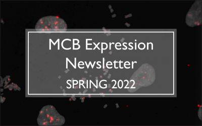 Link to Spring 2022 Newsletter